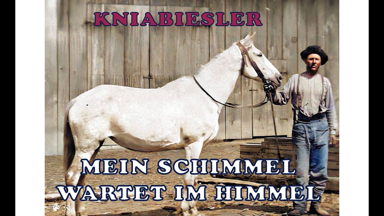 Mein Schimmel wartet im Himmel - Kniabiesler - Original Wirtshausmusik