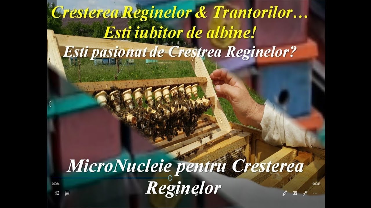 @ MicroNuclei pentru Cresterea Reginelor