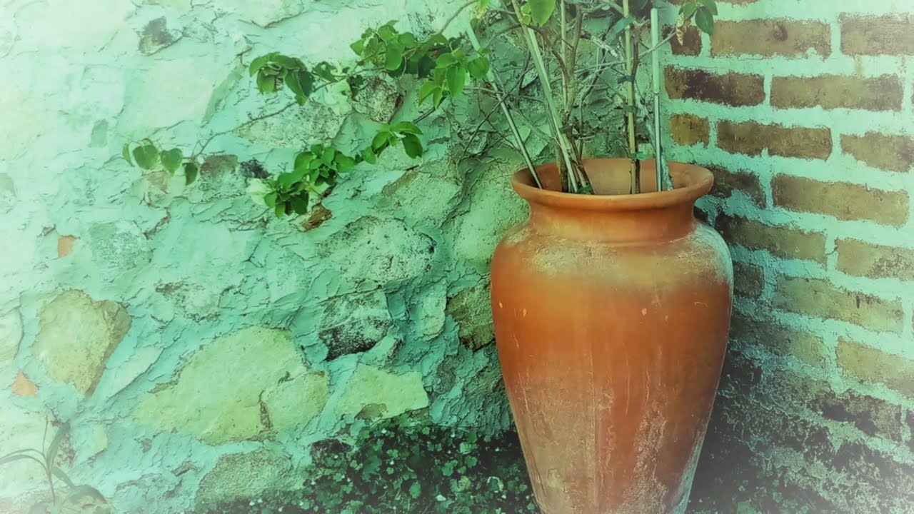Portel Querido Portel - Musica Tradicional do Alentejo