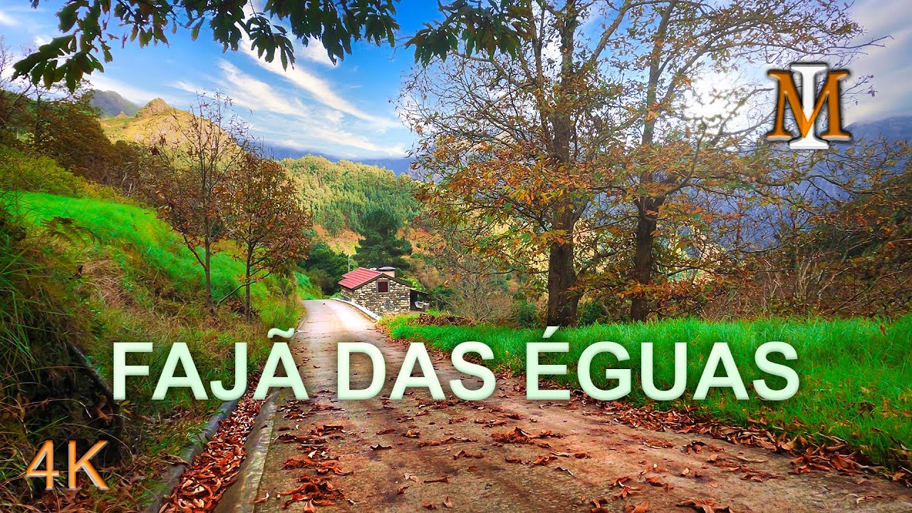 Madeira 4k - Car Ride to a Secret Place - Fajã das Éguas
