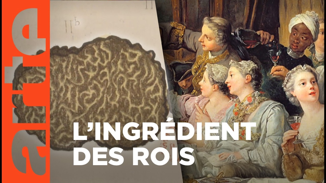 La truffe, diamant noir du Périgord | Invitation au voyage | ARTE