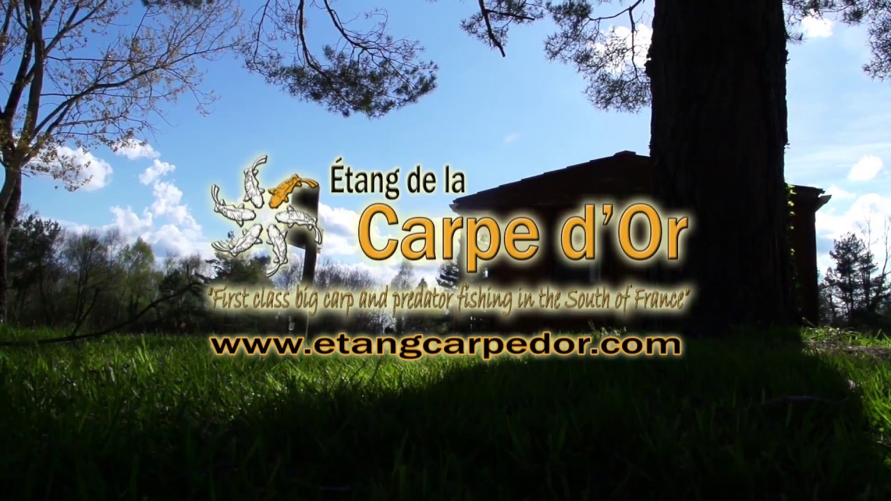 Etang Carpe d'Or Spring Session