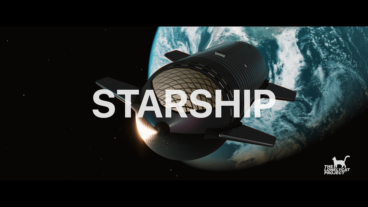 STARSHIP FAN MADE