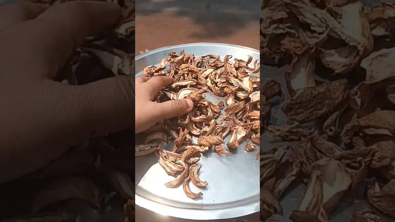 Usari | Amchur Recipe | Dried Raw Mango | Sun Dried Raw Mango | Konkani Recipe@cravemycooking0312