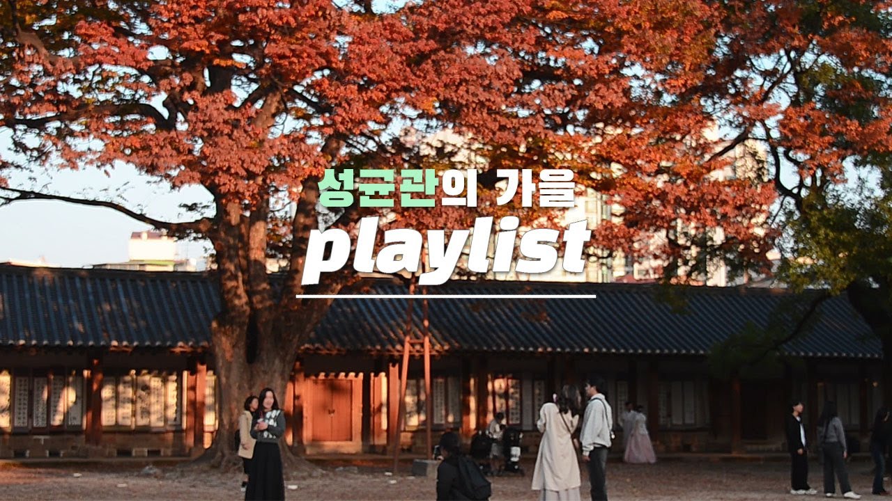 [성균웹진] 잃어버린 가을🍂 찾아드립니다｜성균관대의 가을 playlist