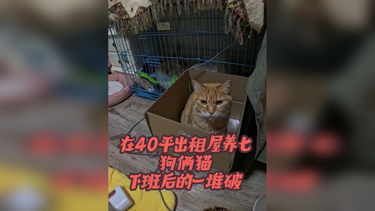 除螨仪终于安排上了 床上卫生也解决了 日子越来越好了