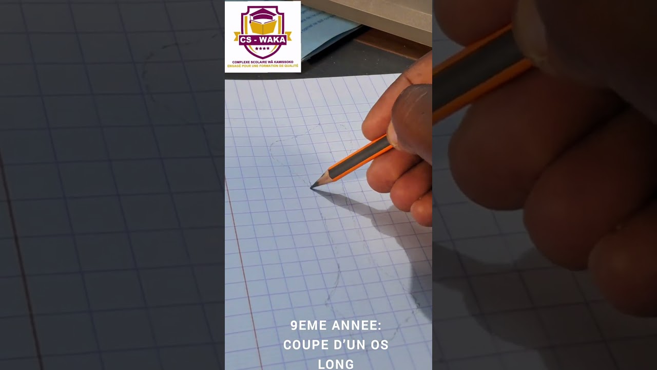 APPRENDRE &Agrave; FAIRE LE CROQUIS DE LA COUPE D&rsquo;UN OS LONG