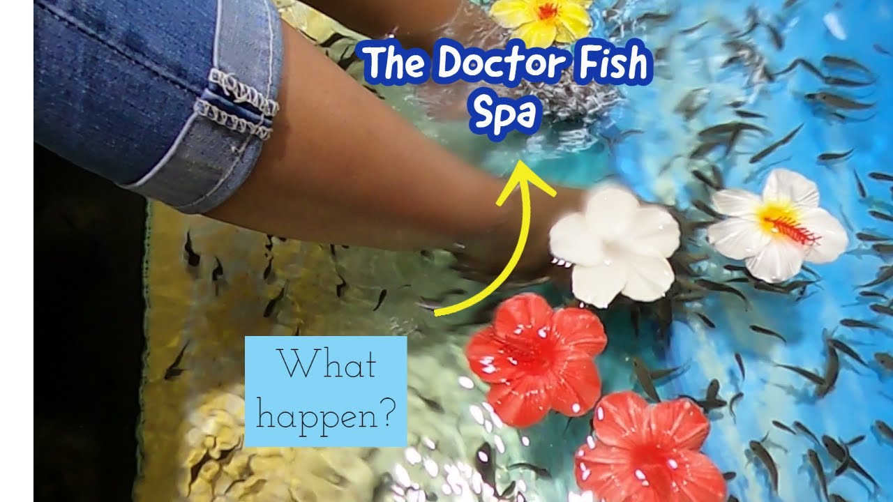 What Is The Benefits Having Doctor Fish Spa?