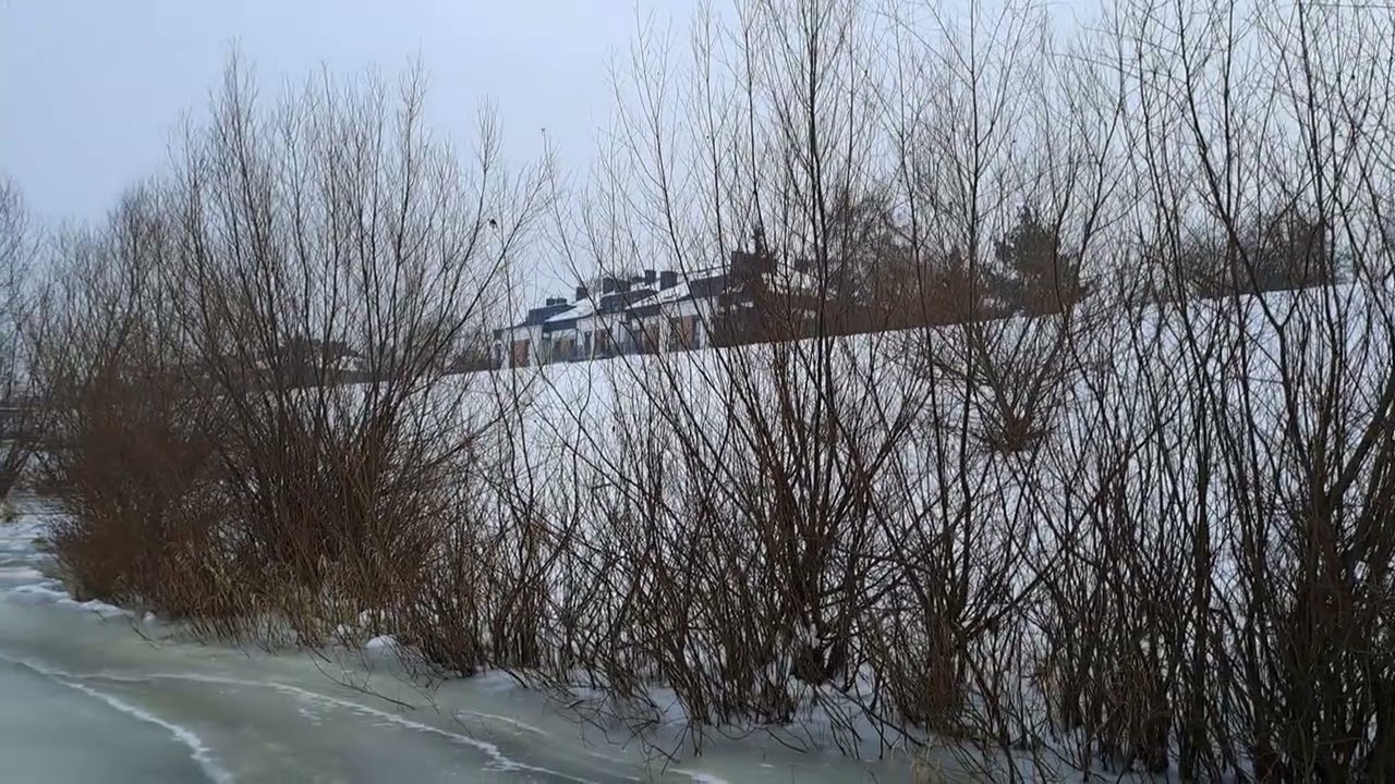 Rzeka Narew