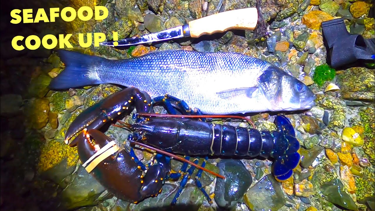 EPIC SEAFOOD COOK UP ! Foraged Big Lobster , Countless Bass ! And More - COASTAL FORAGING at Night