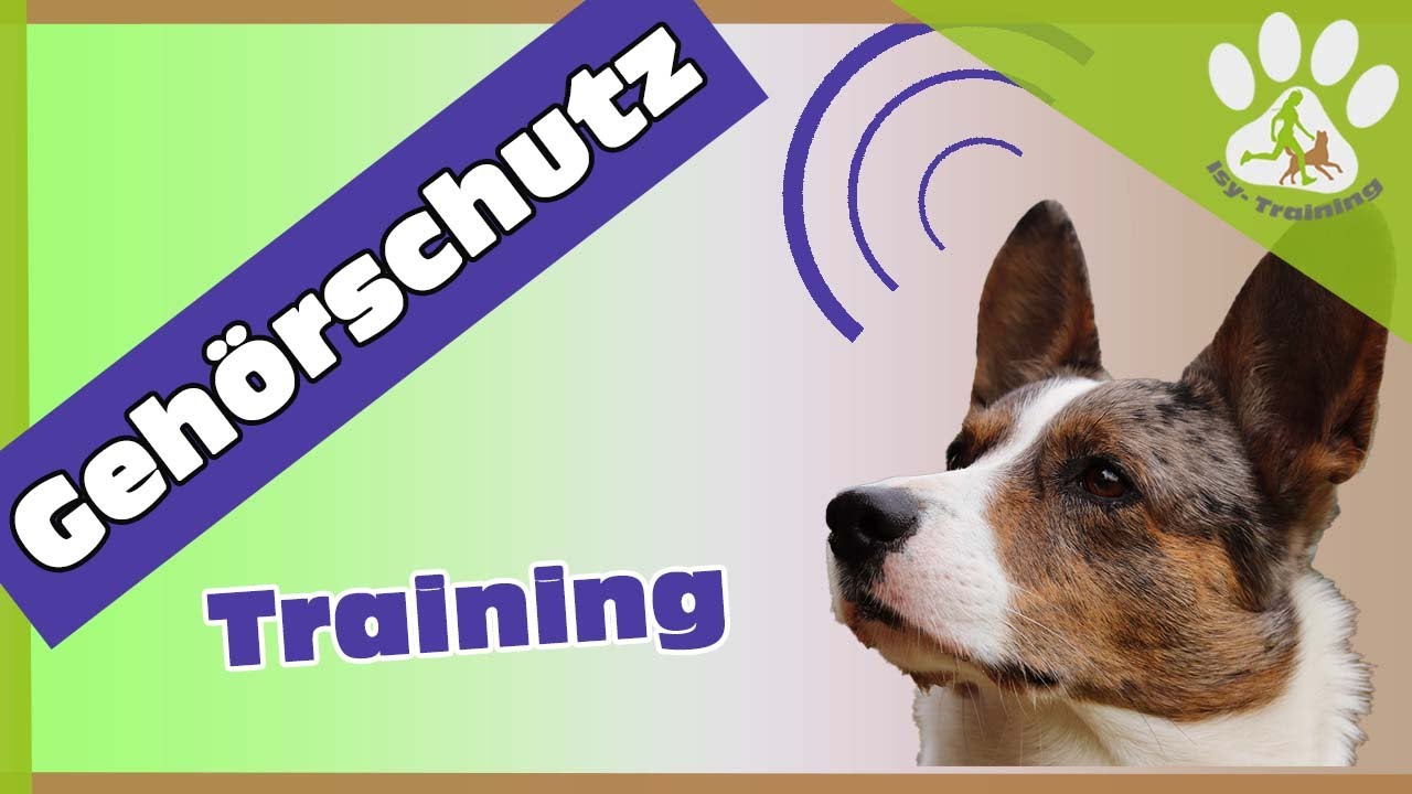 Gehörschutz für Hunde | Training | Mutt Muffs