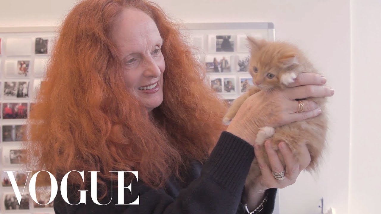 UberKittens Takes a Ride Over to Grace Coddington&rsquo;s Office at Vogue