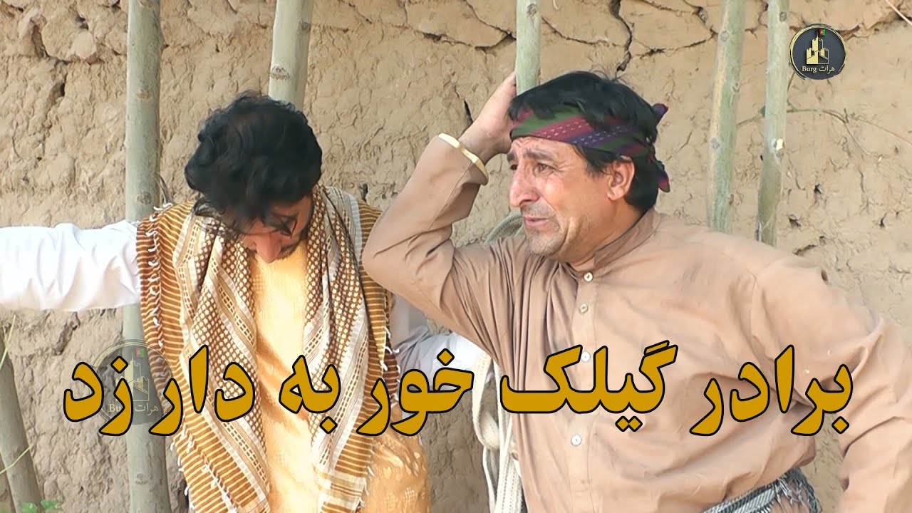 برار گیلک خور به دار زد
