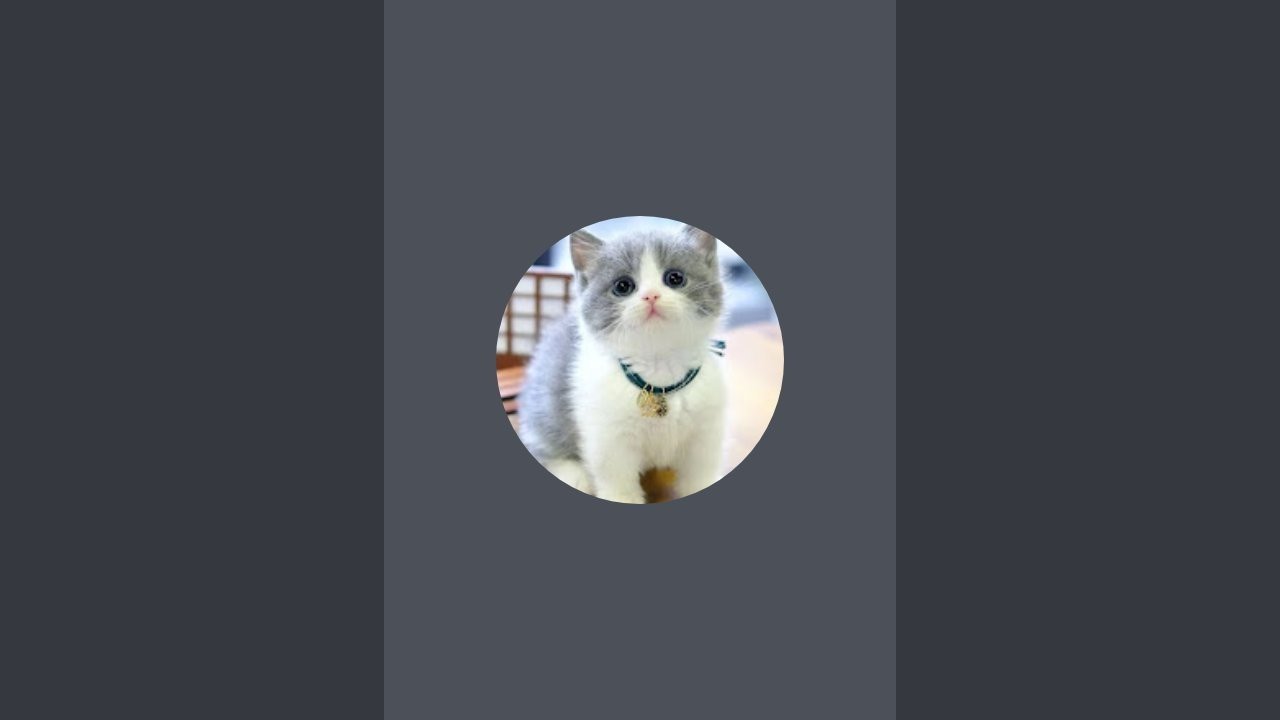 cuteCatgenius9 sedang live sekarang!