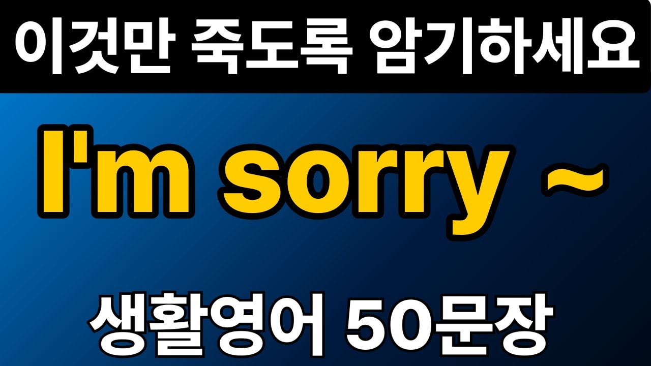 생활영어 패턴 #5 | I'm sorry ~ 50문장 | 통으로 외우세요 | 그냥 틀어만 놓으세요 | 자면서 듣는 기초 영어회화