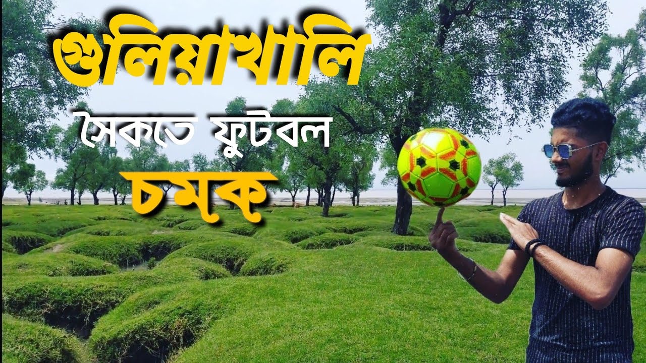 গুলিয়াখালি সমুদ্র সৈকতে ডলফিনের দেখা! || Guliakhali sea beach| Shitakundo|Full travel guideline 2020