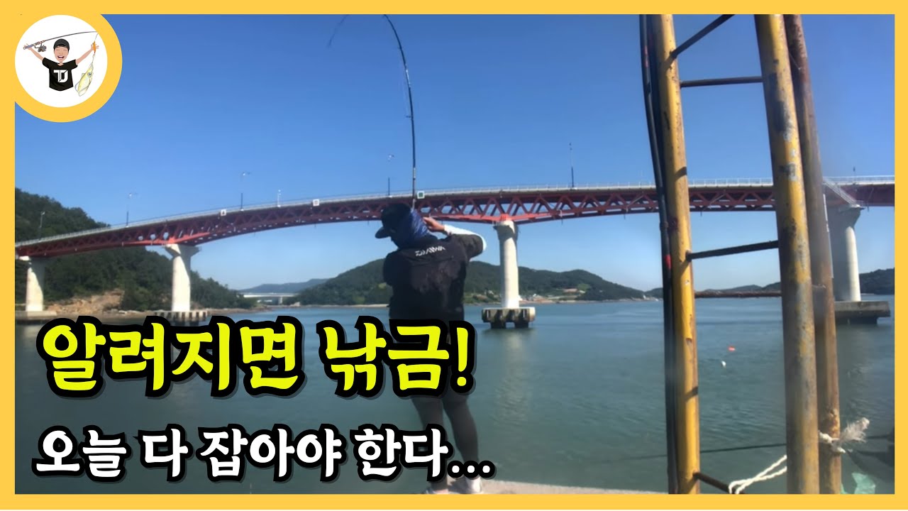 선장님들이 이 영상을 싫어합니다