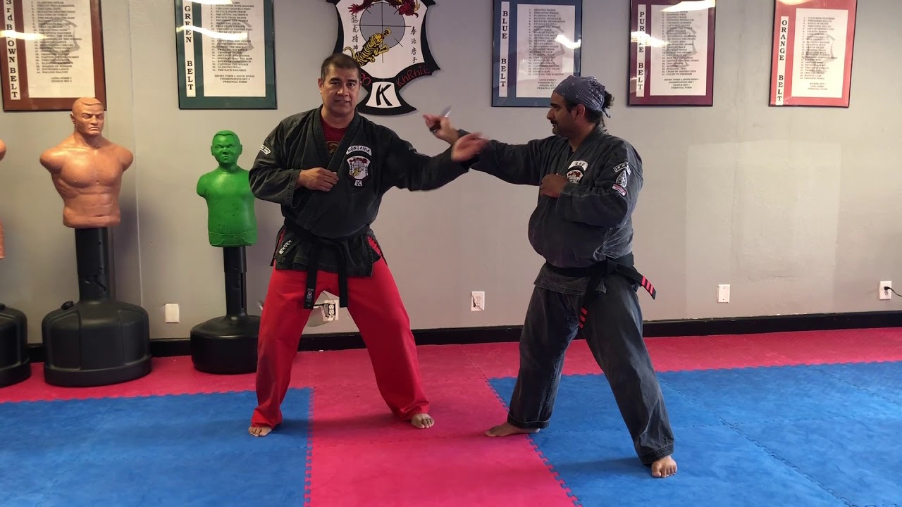 Entwined Lance - Ed Parkers Kenpo Karate