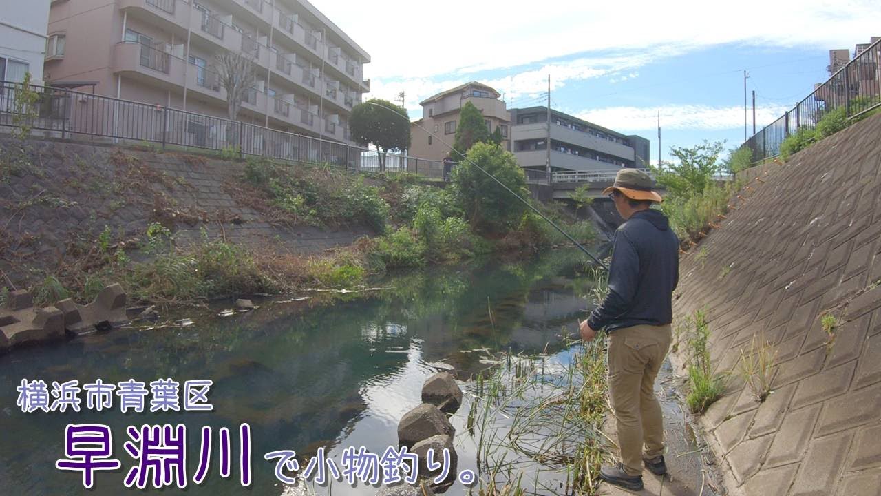 お洒落な街、たまプラーザの近くの河川でも綺麗な魚が釣れました♪ 横浜市青葉区 早淵川で小物釣り。