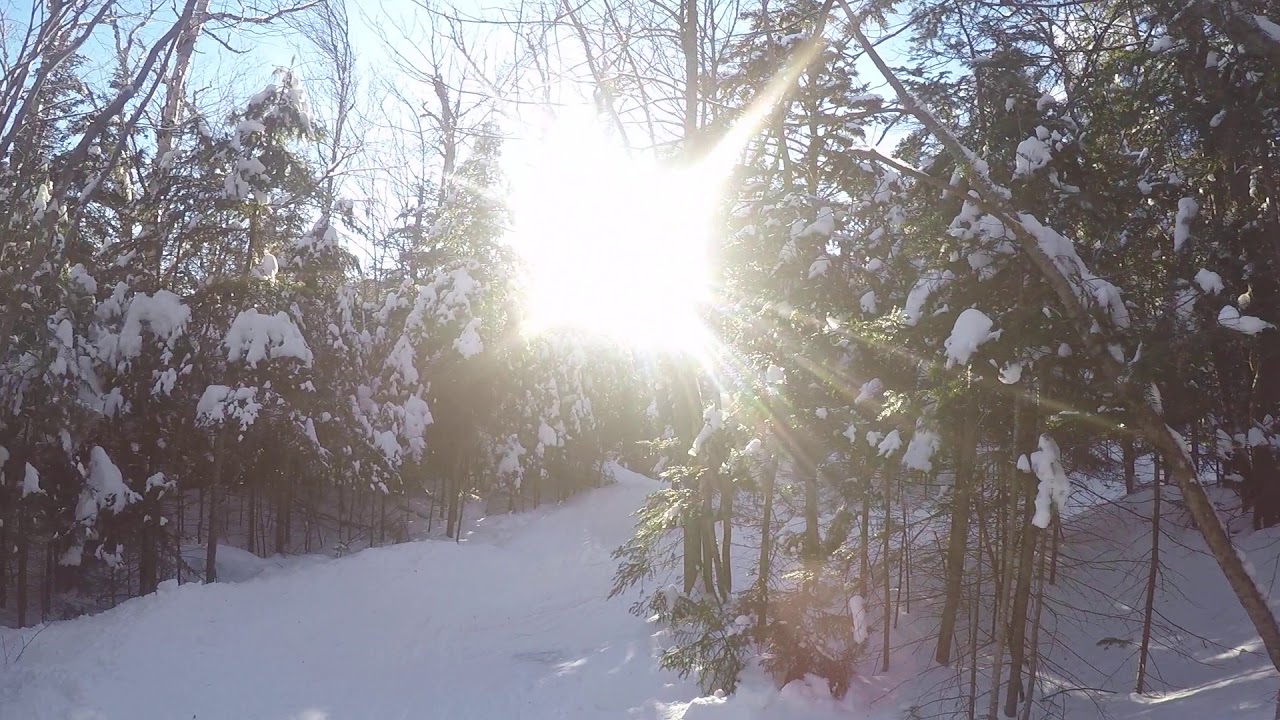 Gore Mountain, The Trench, 2/19/20