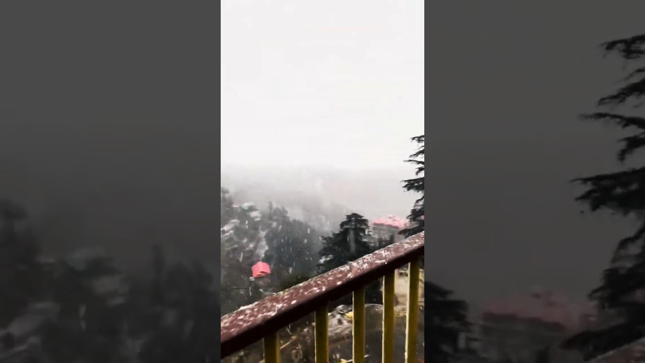 Snowfall in Shimla 