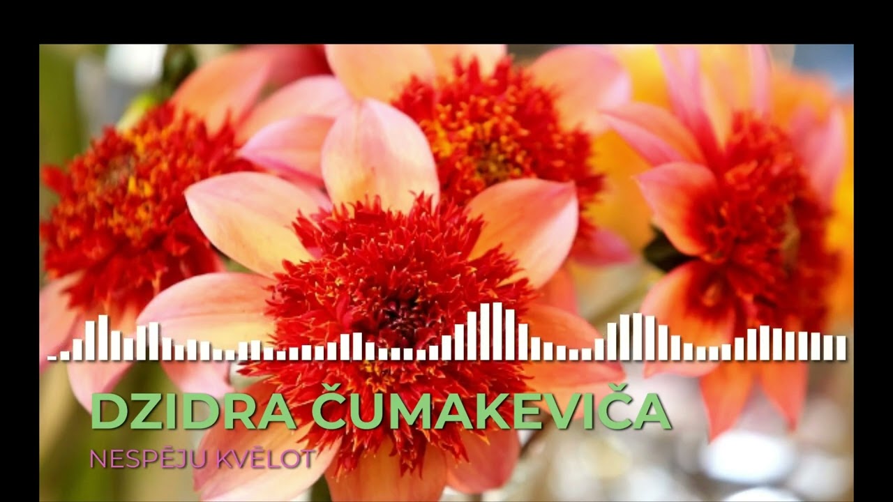 DZIDRA ČUMAKEVIČA - NESPĒJU KVĒLOT