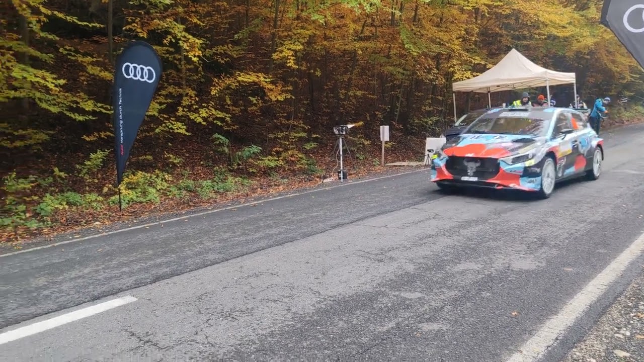 Tess Rally Brasov 2025