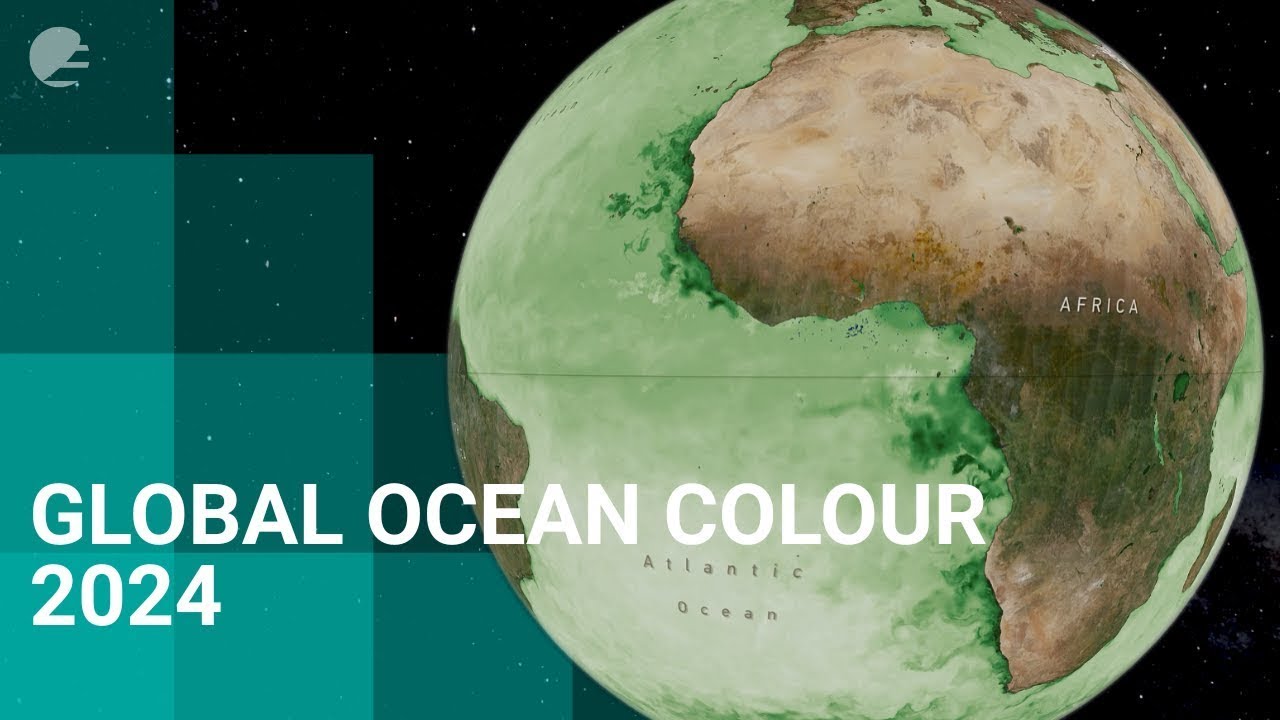 A year of ocean colour - 2024