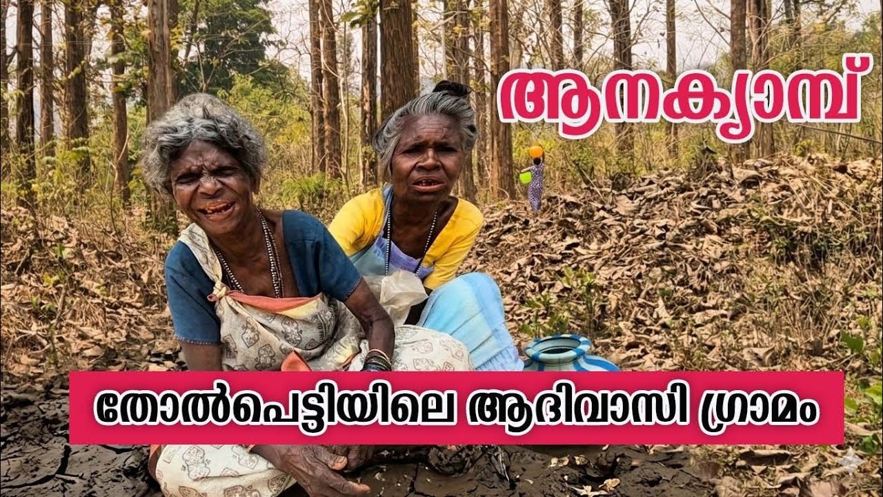 വെള്ളമെടുക്കാൻ കിലോമീറ്ററുകൾ കാടിനുള്ളിലേക് സഹസിക യാത്ര : unique tribal villege in tholpeti 