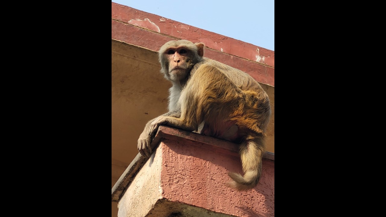 Индия 2025_часть 2