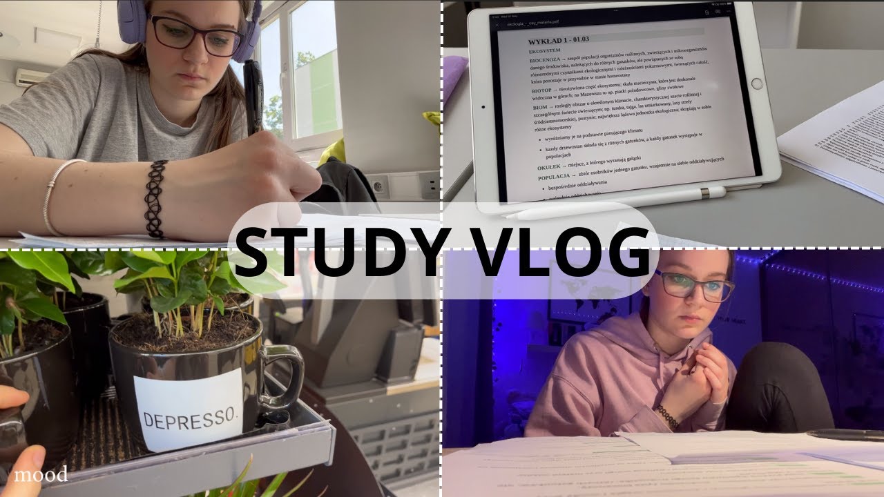 study vlog