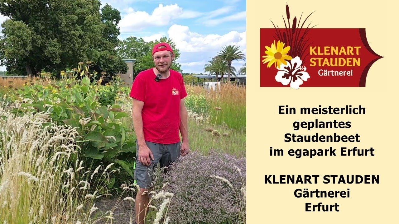 Ein meisterlich geplantes Staudenbeet im egapark Erfurt