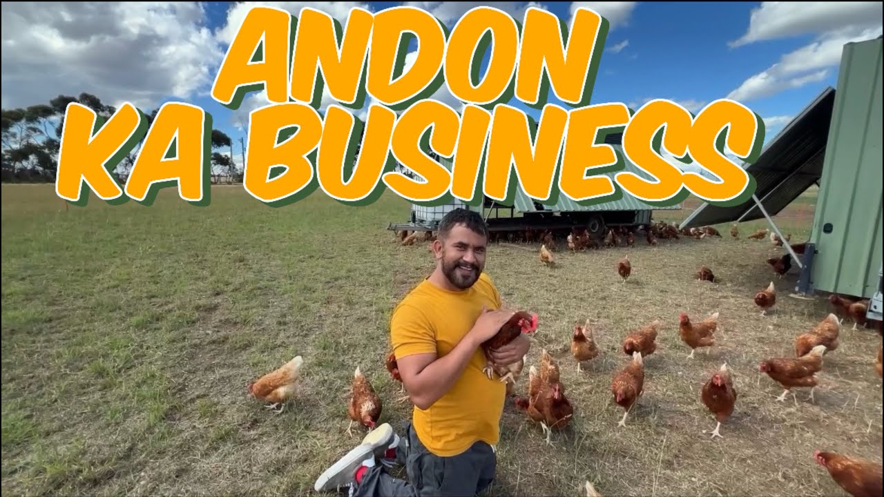Australia ke yeh anday sab se best kion hen | Different sizes of eggs in Australia | Pastured eggs