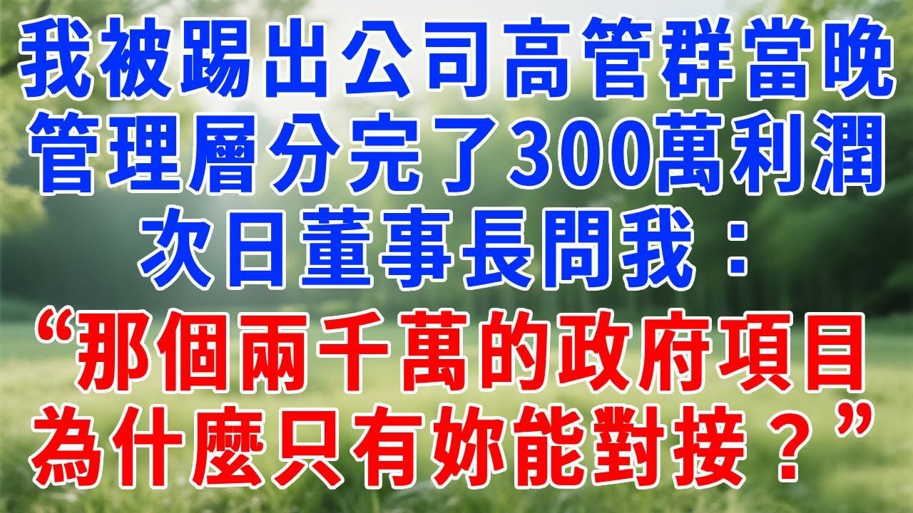 我被踢出公司高管群的當晚，管理層分完了300萬利潤，次日董事長問我：“那個兩千萬的政府項目，為什麼只有妳能對接？”#人生感悟  #故事分享 #故事頻道 #职场 #生活經驗 #打脸
