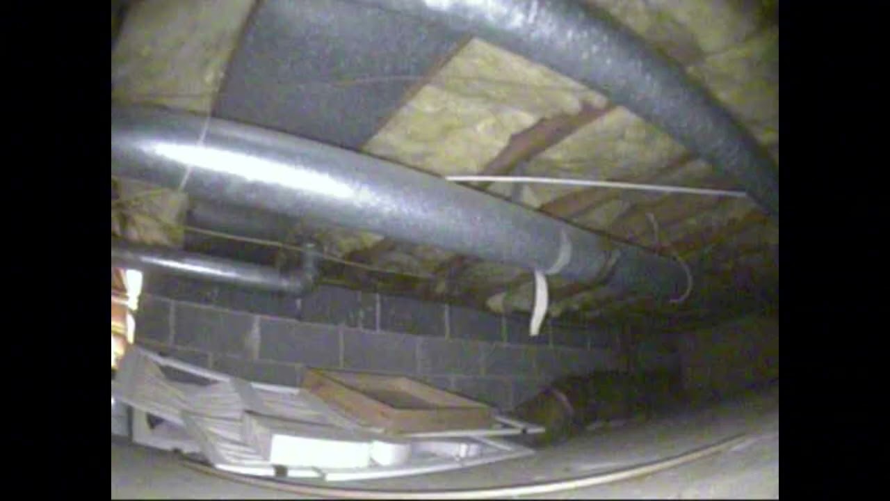Crawlspace   Tearose