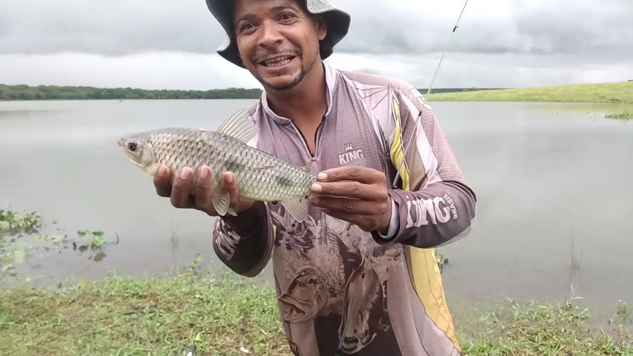 Muito peixe encostou na seva piau, piau sul, piapara e outras espécies  só fisgada bruta o dia todo.