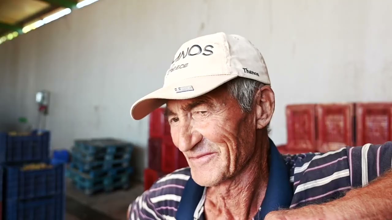 Κτήμα Χατζηγεωργίου  ''Tρύγος''