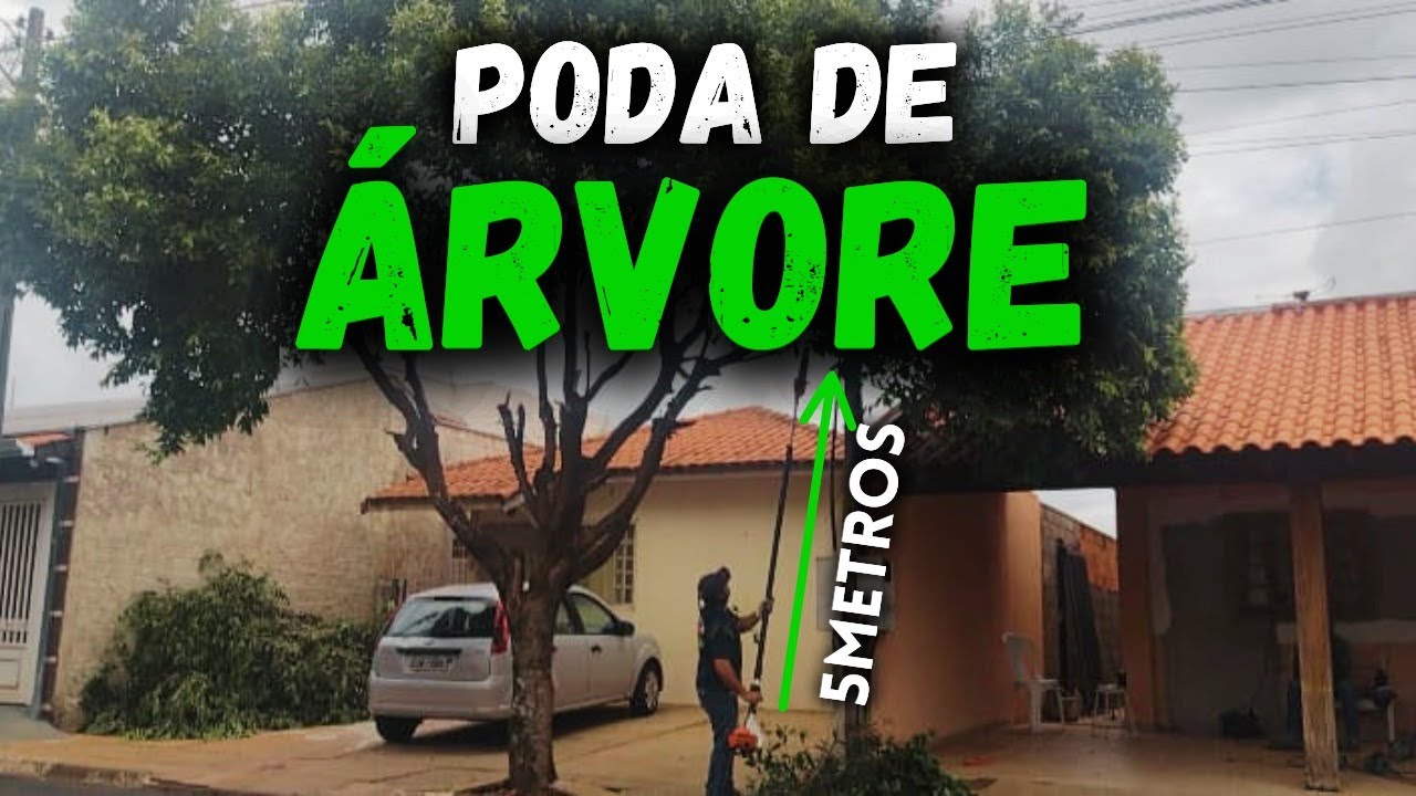 COMO PODAR ÁRVORE ALTA | Dia Dia do Jardineiro