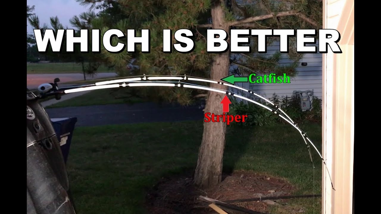 Ugly Stick Striper vs. Ugly Stick Catfish | catfish rod review and detailed comparison