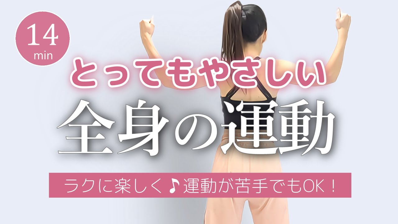 【無理なくできる！】やさしい全身運動／室内ウォーキング＆筋トレで元気な体づくり #397
