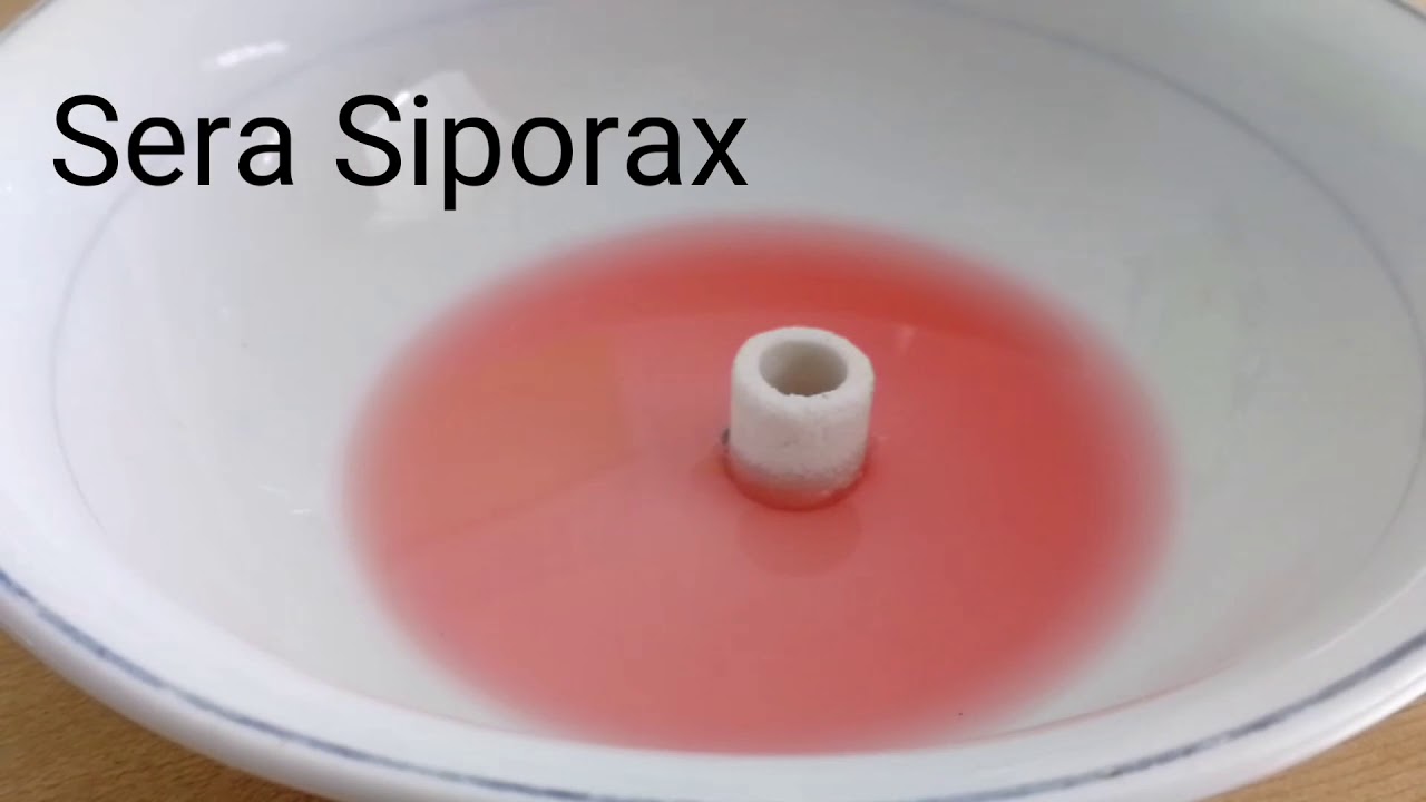 Vergleich biologischer Filtermedien / Comparison biological filter media
