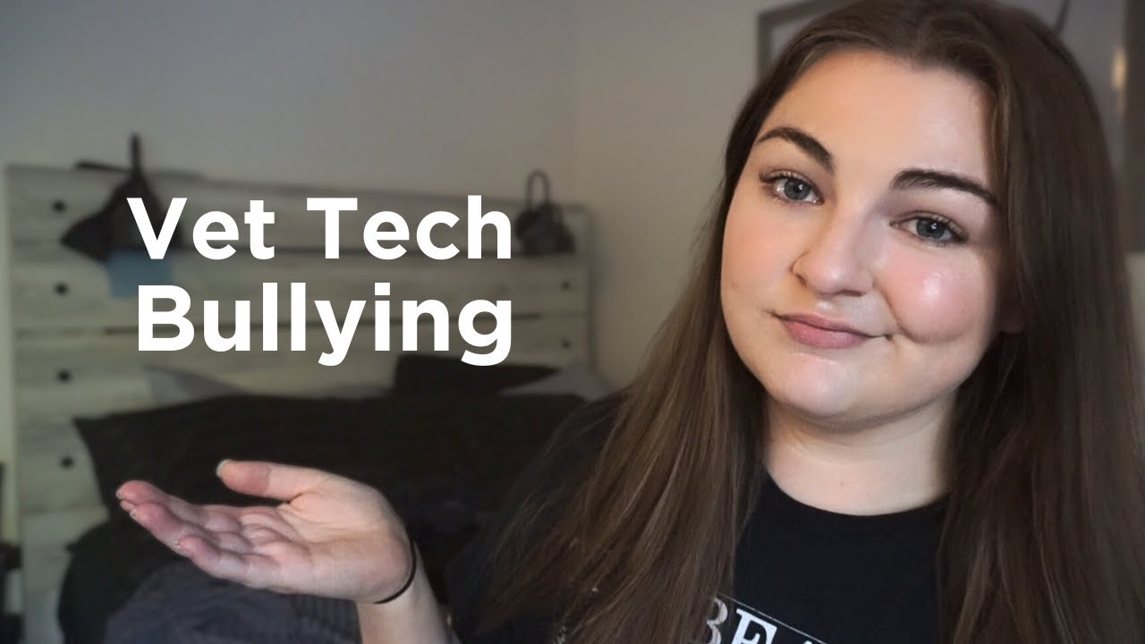 Vet Tech Bullying| My Experience & Advice as a Baby Tech
