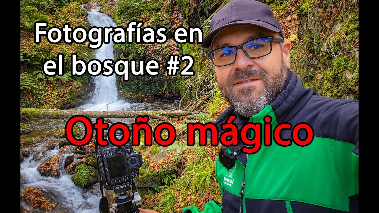 Haciendo fotos en el bosque #2 - Fotografía de naturaleza - #fotografia  #fotografia #canon #nikon