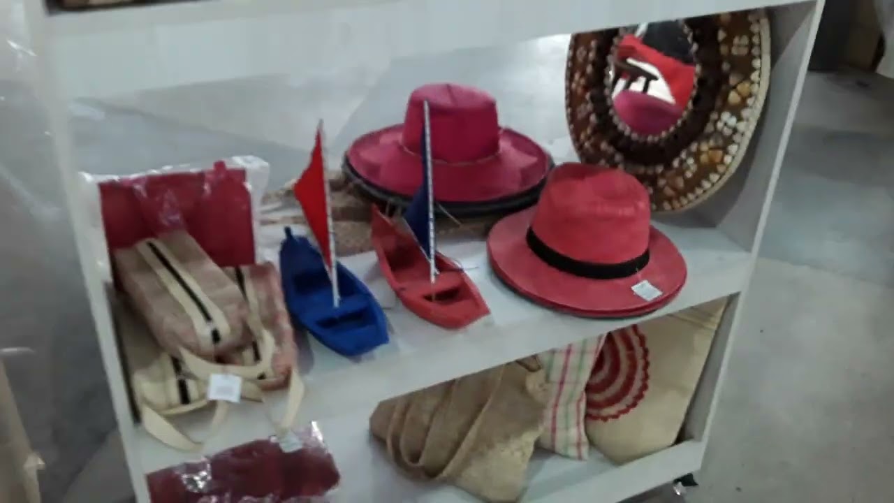 VISITA AO  CEPRAMA  SÃO LUÍS MARANHÃO. Pix 98 9 8711 18 62  canal uerbert e gardenia 