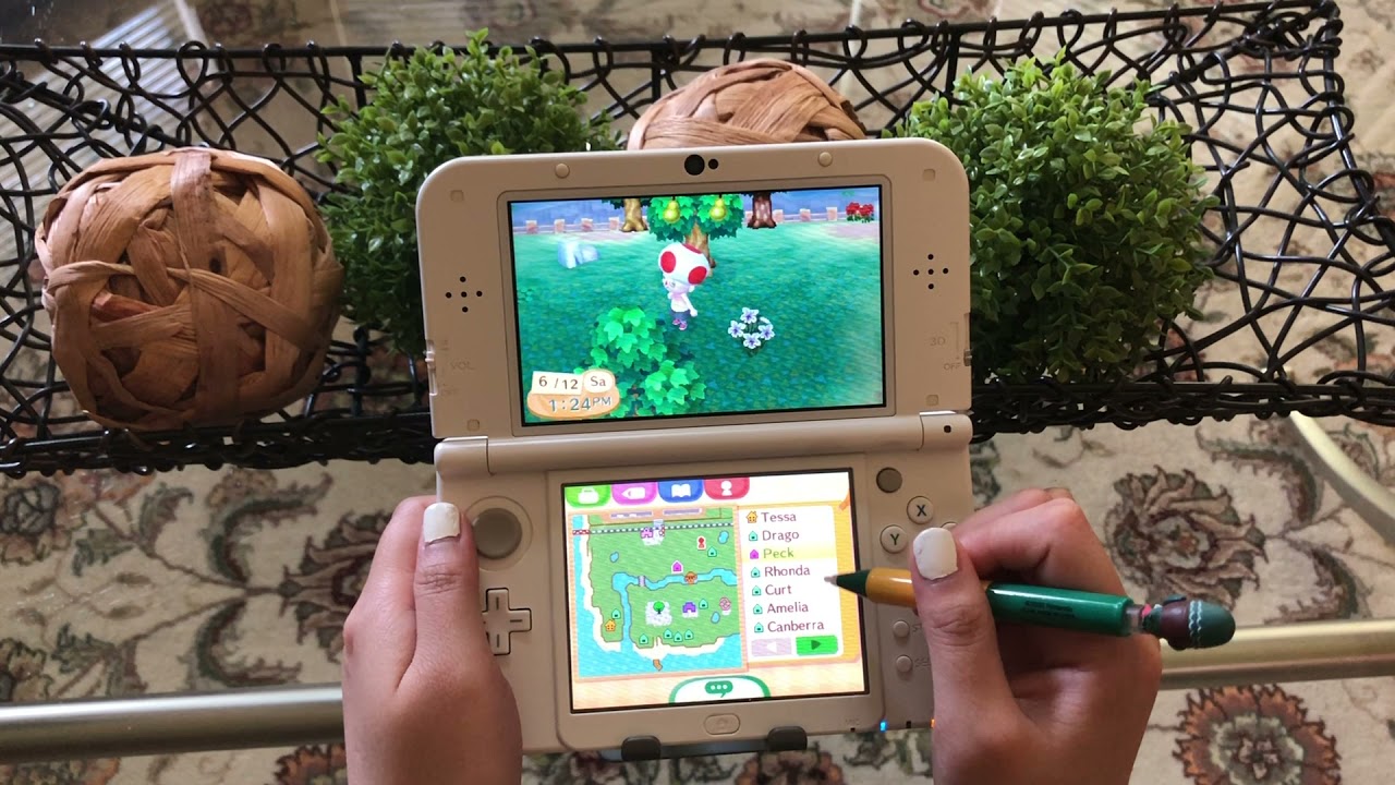Nintendo 3DS: Animal Crossing New Leaf: Getting those Signatures for a Club~
