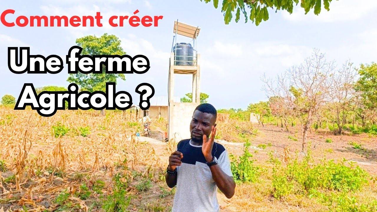 Voici les Dépenses Nécessaires pour Créer une Ferme Agricole