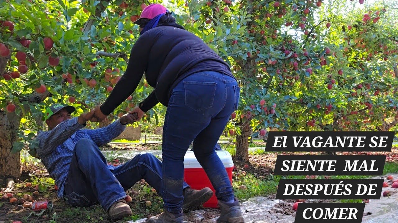 DESPUÉS DE ALMORZAR EN EL TRABAJO EL VAGANTE SEQUIERE DESMAYAR Y PIDE AYUDA