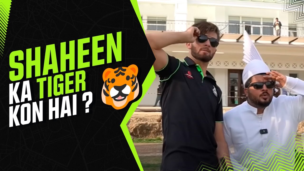 SHAHEEN ka TIGER kon hai 🐯? Who WINS the GOLF ? 🏌️