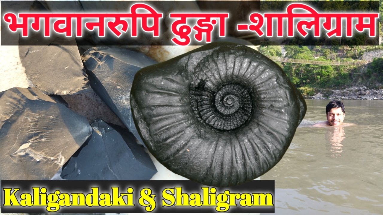 Shaligram Stone (Shila) | Kali Gandaki River Nepal | The Gandaki River| Shaligram Stone Orginal Test