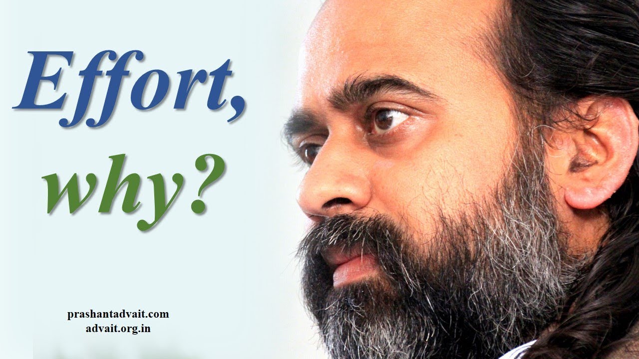 Why must you put in so much effort? || Acharya Prashant, with youth (2014)